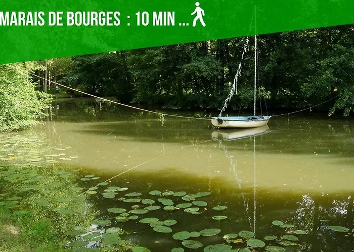 Les Quatre Piliers - 1 Min Palais Jacques Coeur